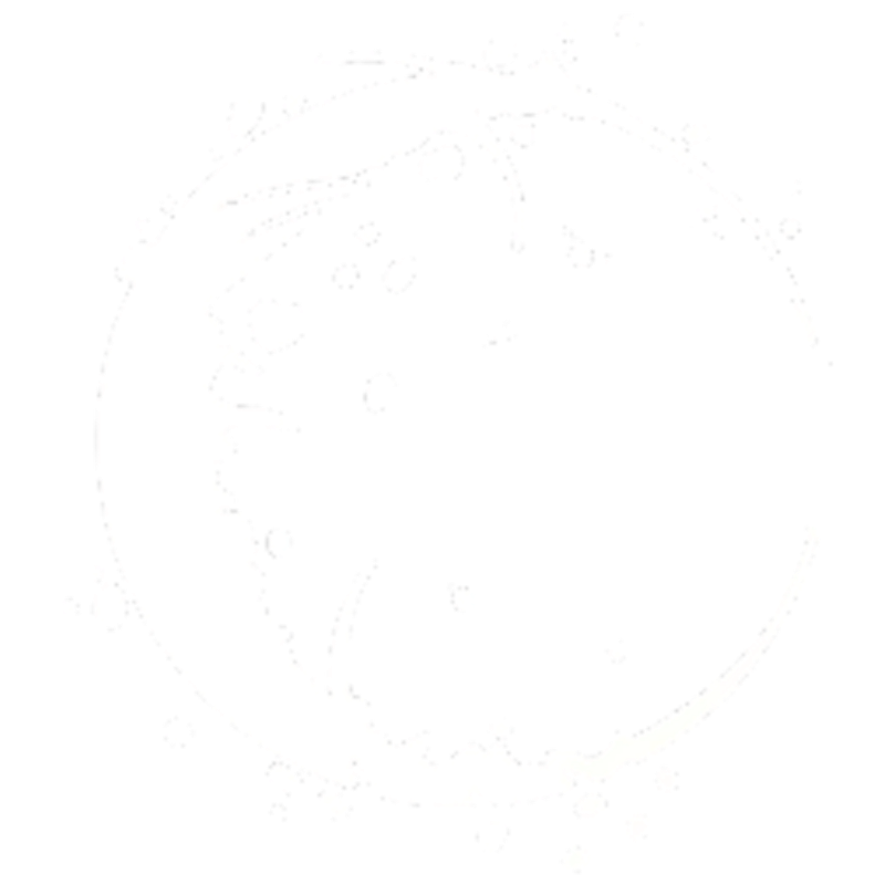 Moon Cartridges